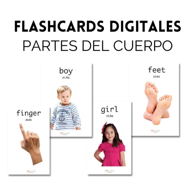 Flashcards Partes del Cuerpo Digital