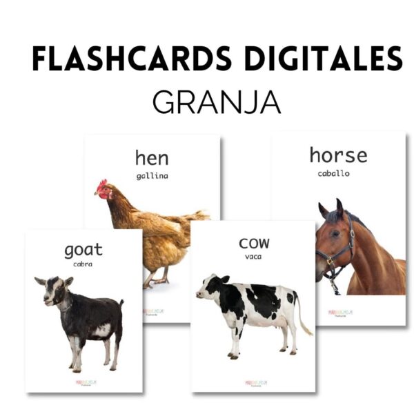 Colección Flashcards (11 sets completos) - Imagen 9