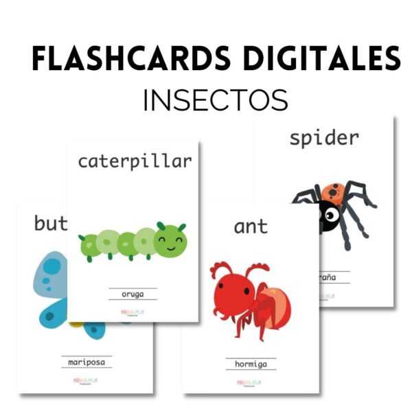 Colección Flashcards (11 sets completos) - Imagen 7