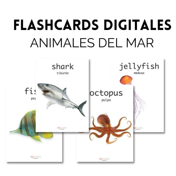 Colección Flashcards (11 sets completos) - Imagen 5