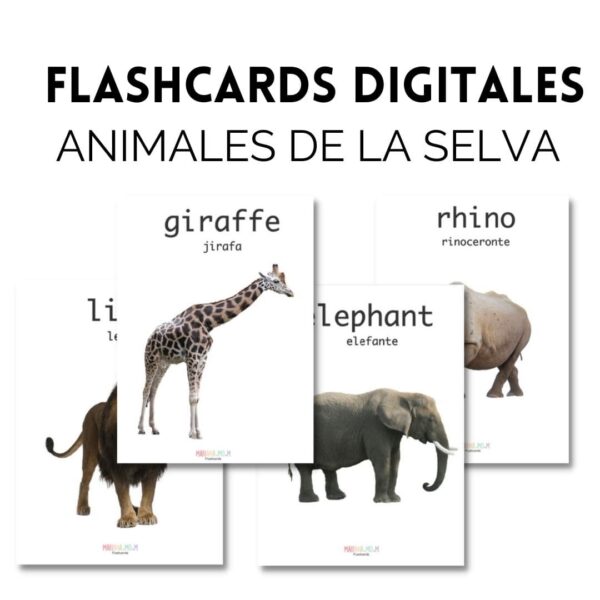 Colección Flashcards (11 sets completos) - Imagen 2